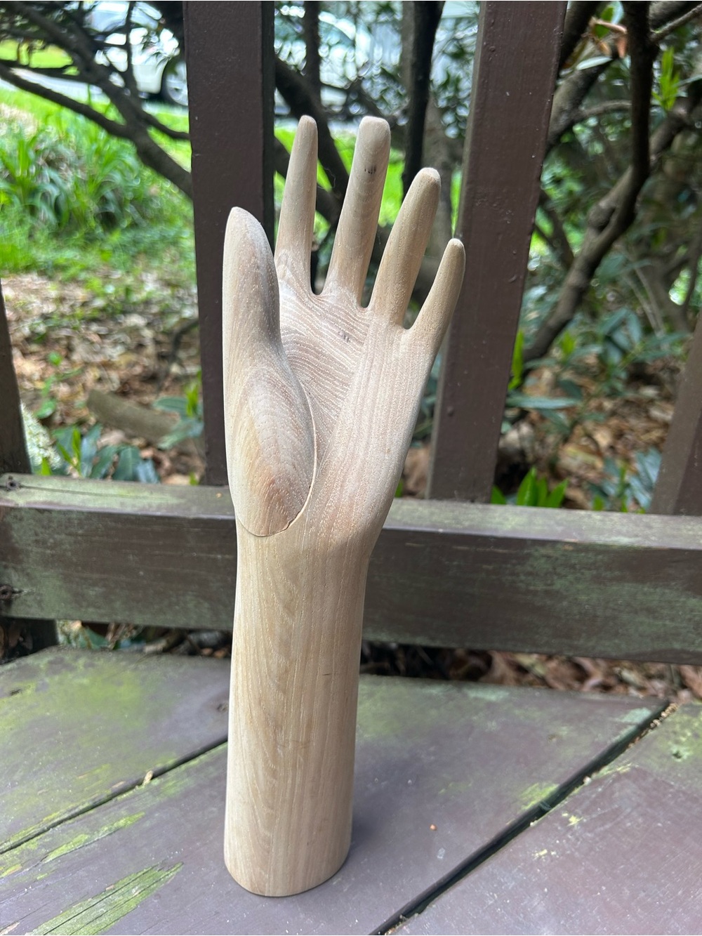 Natural Wood Hand Sculptural Display - Beige